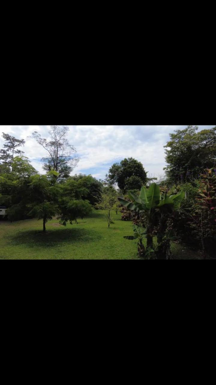 Arenal Hostel La Catarata La Fortuna Esterno foto